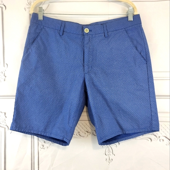 Mossimo Dutti Men's Blue Patterned Shorts Size 32 - Picture 1 of 4